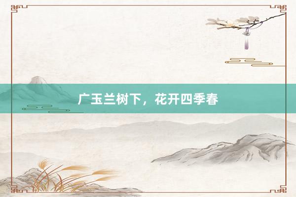 广玉兰树下，花开四季春