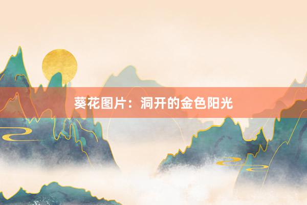 葵花图片：洞开的金色阳光